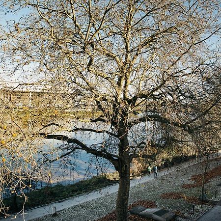 The Rhuys - Cosy-Balcony With Superb Loire View - All On Foot - Parking Apartment Nantes Luaran gambar